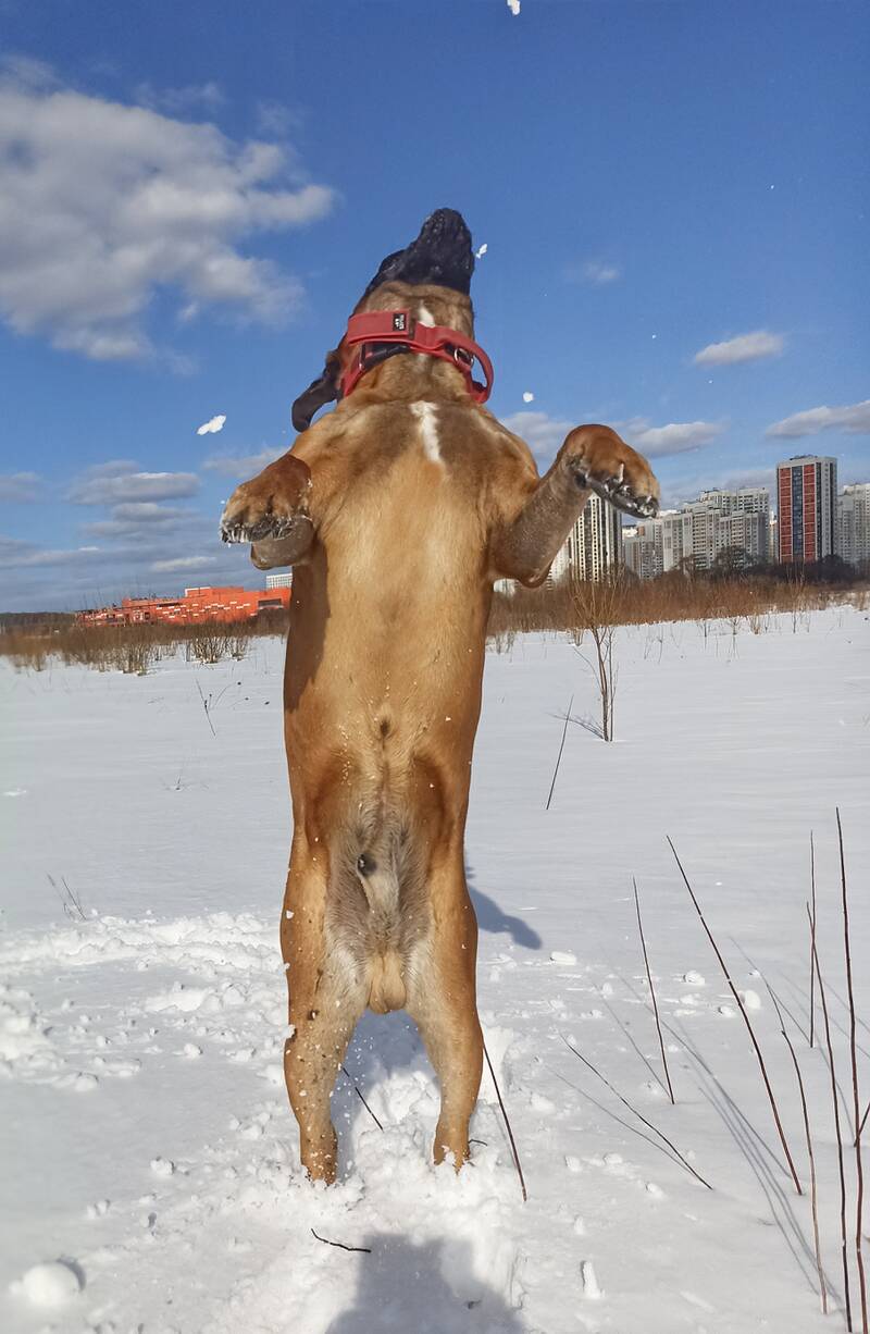 https://upforme.ru/uploads/000e/c3/34/220/270544.jpg