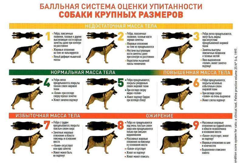 https://upforme.ru/uploads/000e/c3/34/5/115926.jpg