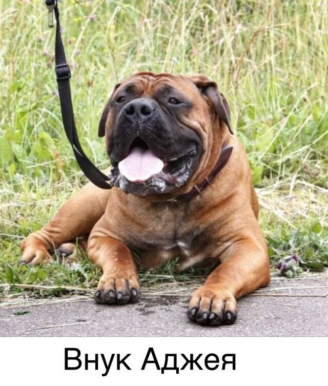 https://upforme.ru/uploads/000e/c3/34/5/33770.jpg