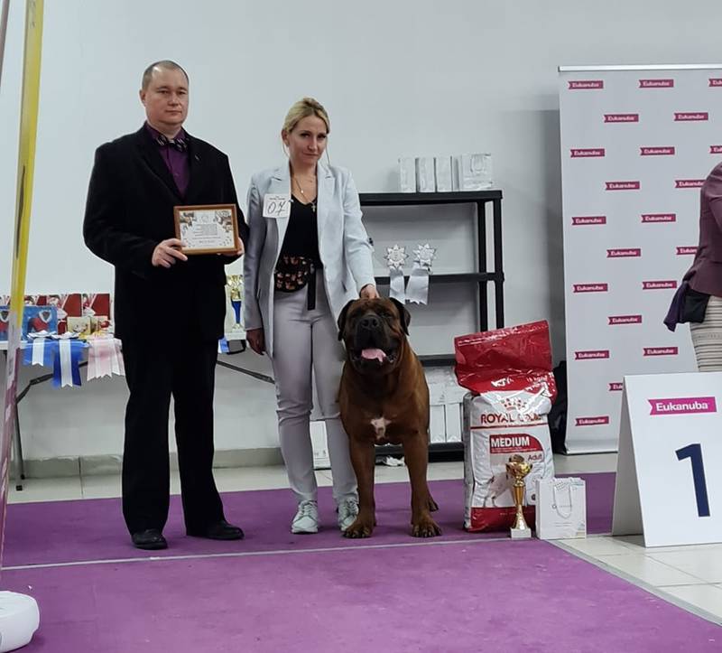 https://upforme.ru/uploads/000e/c3/34/5/346123.jpg