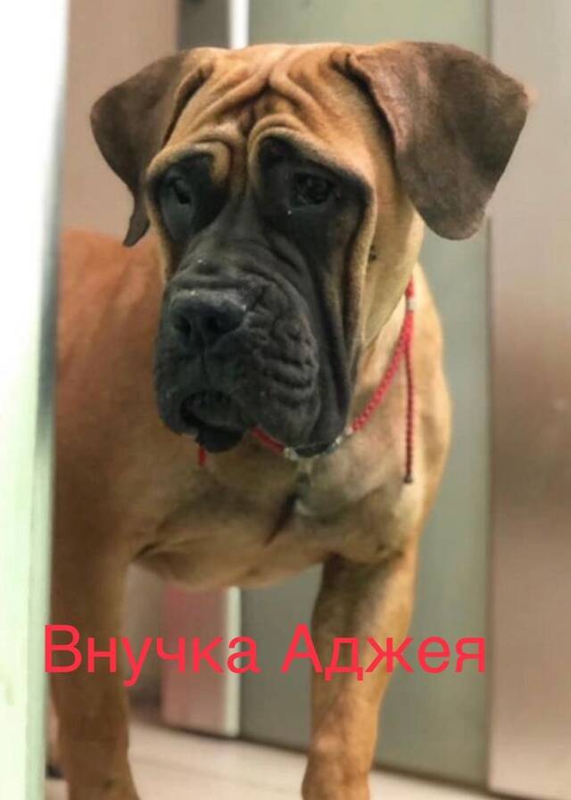 https://upforme.ru/uploads/000e/c3/34/5/399741.jpg