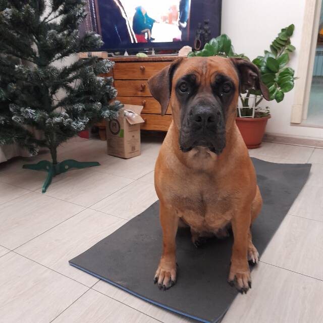 https://upforme.ru/uploads/000e/c3/34/5/491440.jpg