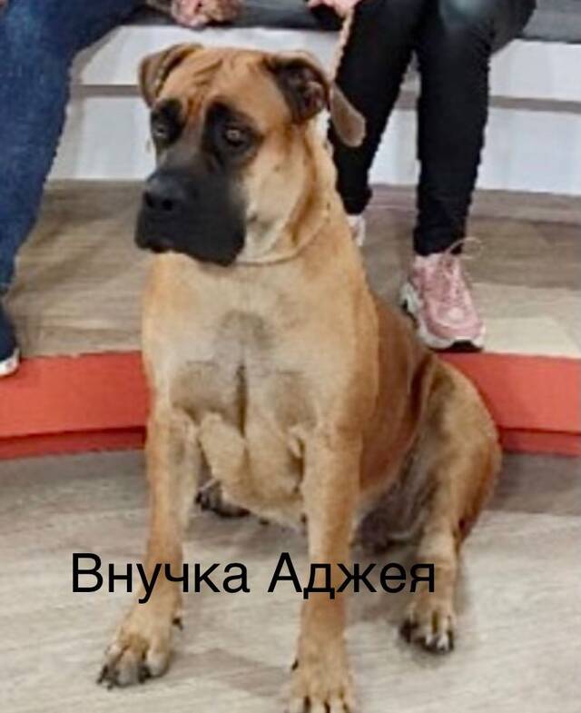 https://upforme.ru/uploads/000e/c3/34/5/502533.jpg