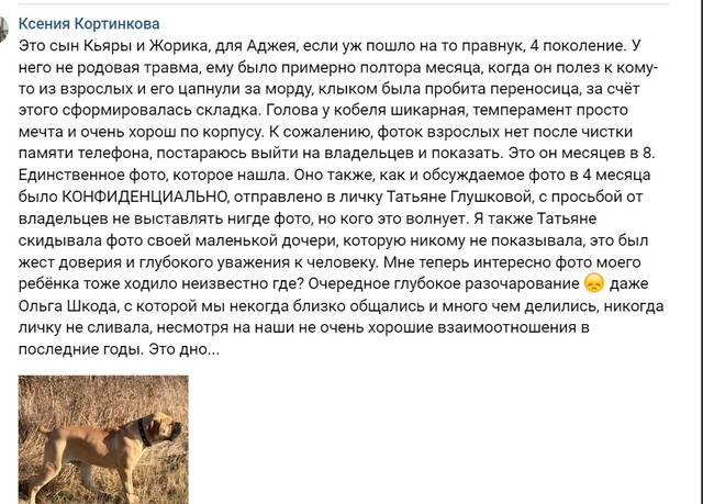 https://upforme.ru/uploads/000e/c3/34/5/561303.jpg