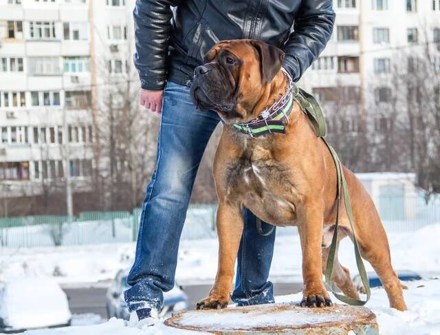 https://upforme.ru/uploads/000e/c3/34/5/597502.jpg