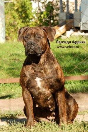 https://upforme.ru/uploads/000e/c3/34/5/748277.jpg