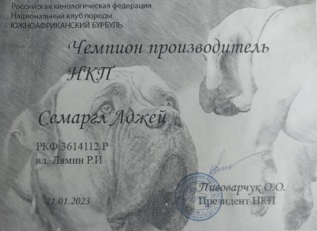 https://upforme.ru/uploads/000e/c3/34/5/850416.jpg
