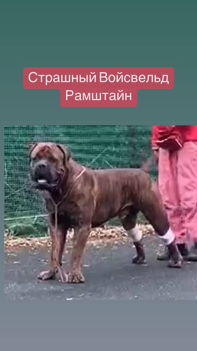 https://upforme.ru/uploads/000e/c3/34/540/185039.jpg
