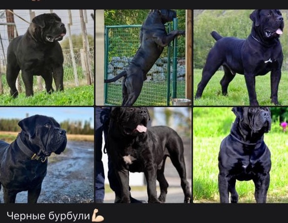 https://upforme.ru/uploads/000e/c3/34/540/444709.jpg