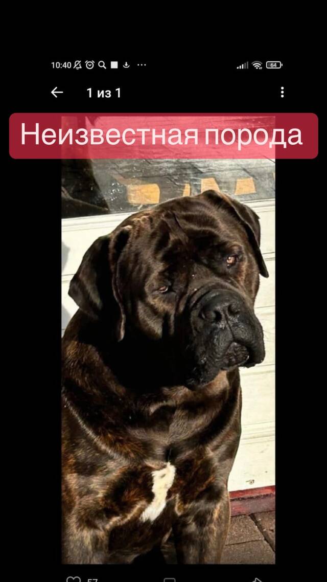 https://upforme.ru/uploads/000e/c3/34/540/579358.jpg