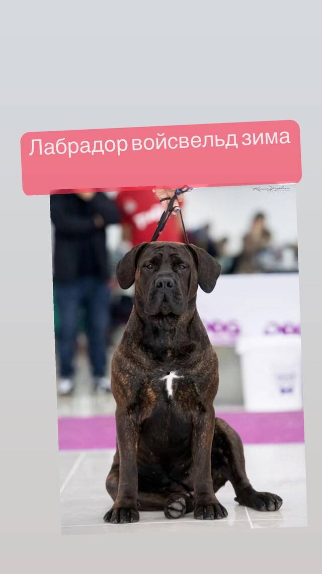 https://upforme.ru/uploads/000e/c3/34/540/944336.jpg