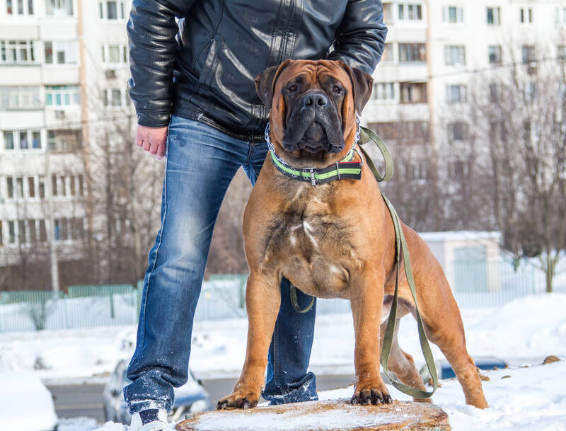 https://upforme.ru/uploads/000e/c3/34/608/214176.jpg