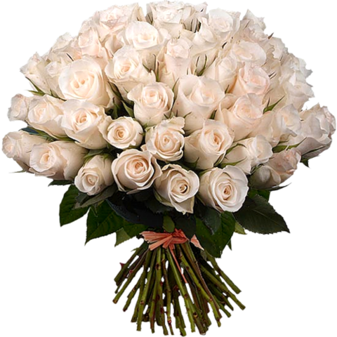 https://upforme.ru/uploads/000f/03/01/888/t709996.png