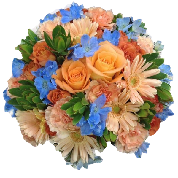 https://upforme.ru/uploads/000f/03/01/888/t971335.png