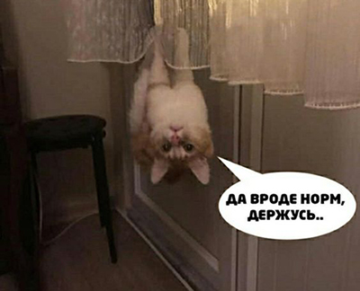 https://upforme.ru/uploads/000f/09/5e/1018/43777.jpg