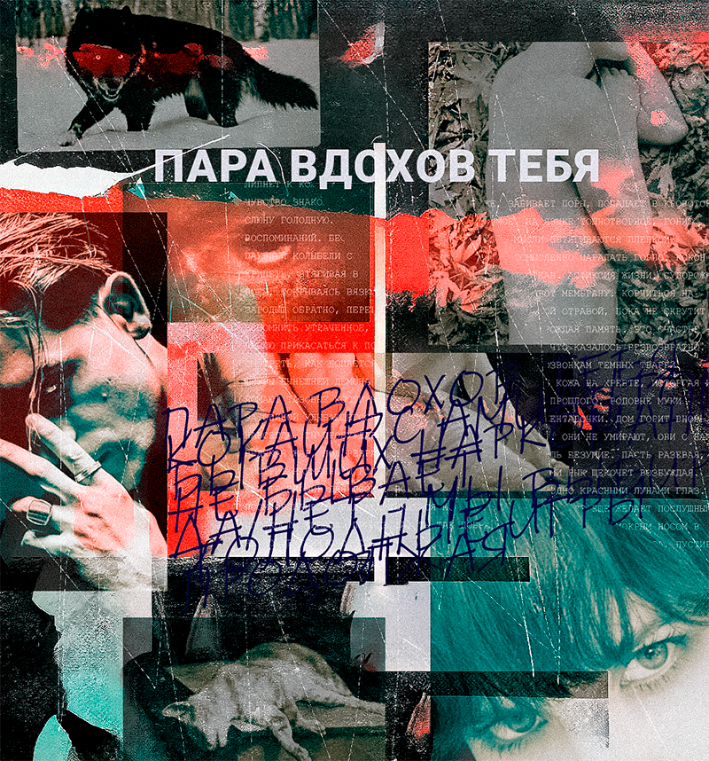 https://upforme.ru/uploads/000f/09/5e/13970/311480.png