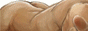 https://upforme.ru/uploads/000f/37/b0/31-5.gif