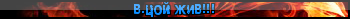 https://upforme.ru/uploads/000f/40/fc/353-1-f.png