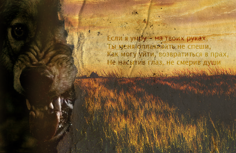 https://upforme.ru/uploads/000f/41/de/8319-1-f.png