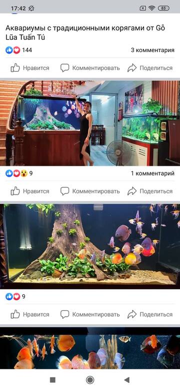 https://upforme.ru/uploads/000f/56/66/1330/t11933.jpg