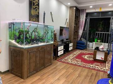 https://upforme.ru/uploads/000f/56/66/1330/t556377.jpg