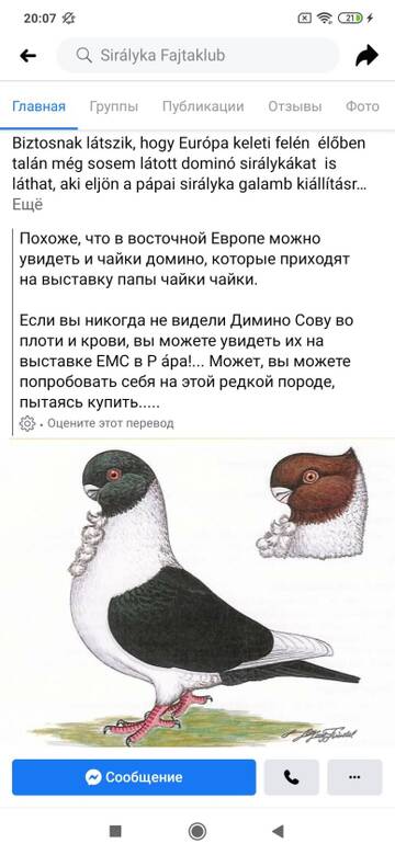 https://upforme.ru/uploads/000f/56/66/1330/t565004.jpg