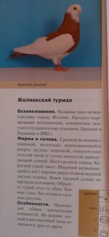 https://upforme.ru/uploads/000f/56/66/1330/t568292.jpg
