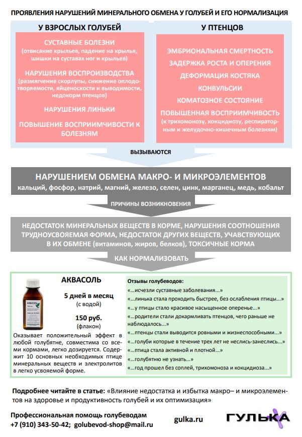 https://upforme.ru/uploads/000f/56/66/494/11608.jpg