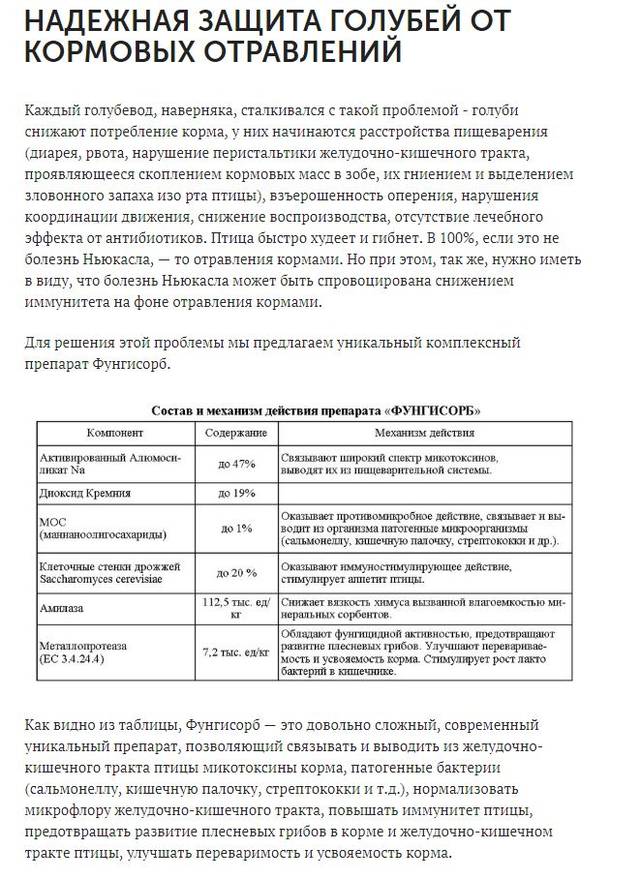https://upforme.ru/uploads/000f/56/66/494/64370.jpg