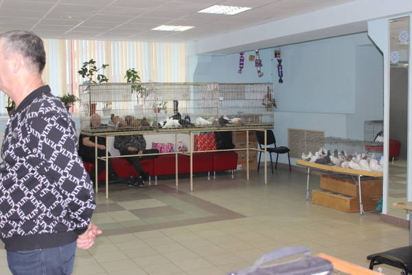 https://upforme.ru/uploads/000f/56/66/510/t41661.jpg