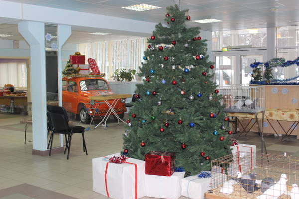 https://upforme.ru/uploads/000f/56/66/510/t82628.jpg