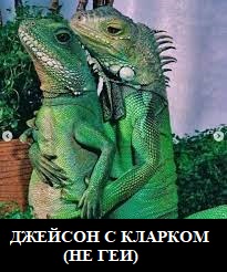https://upforme.ru/uploads/000f/62/6e/56/t668245.jpg