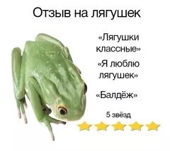 https://upforme.ru/uploads/000f/62/6e/56/t670513.webp