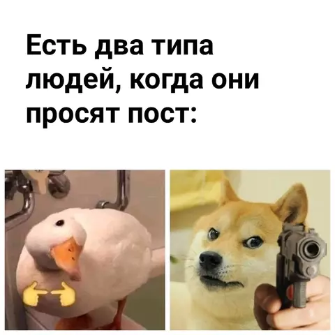 https://upforme.ru/uploads/000f/62/6e/56/t717768.webp