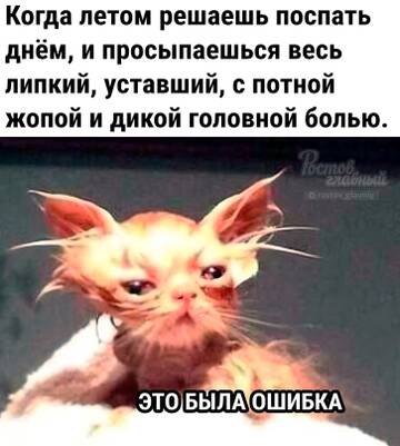 https://upforme.ru/uploads/000f/62/6e/60/t431354.jpg