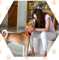 https://upforme.ru/uploads/000f/62/ef/5/t861750.jpg