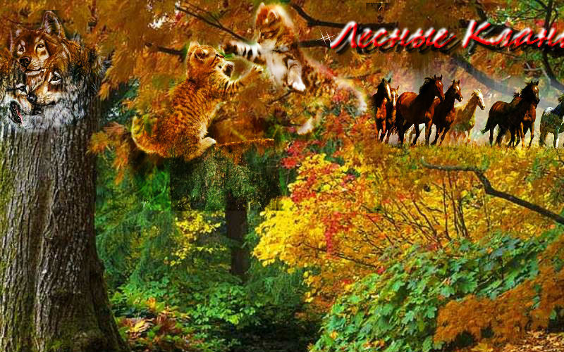 https://upforme.ru/uploads/000f/69/5c/2059-1-f.jpg