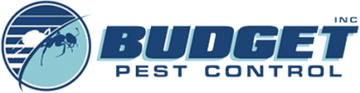 https://upforme.ru/uploads/000f/69/80/416/t734956.png