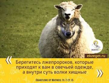 https://upforme.ru/uploads/000f/96/84/731/t816393.jpg