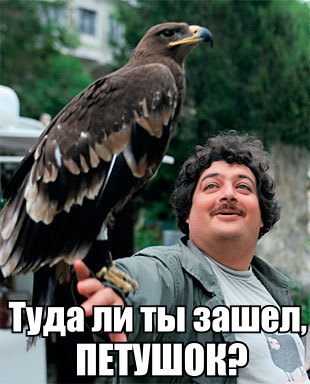 https://upforme.ru/uploads/000f/a0/99/10/t231619.jpg