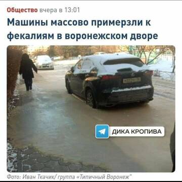 https://upforme.ru/uploads/000f/a0/99/10/t862430.jpg