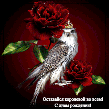 https://upforme.ru/uploads/000f/a0/99/160/t282278.gif