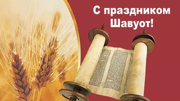 https://upforme.ru/uploads/000f/a0/99/160/t745085.webp
