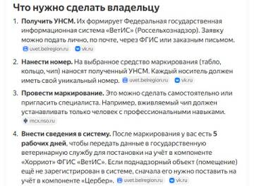 https://upforme.ru/uploads/000f/a0/99/18/t100815.jpg