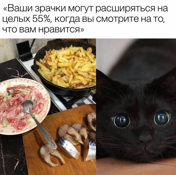 https://upforme.ru/uploads/000f/a0/99/259/t112868.jpg