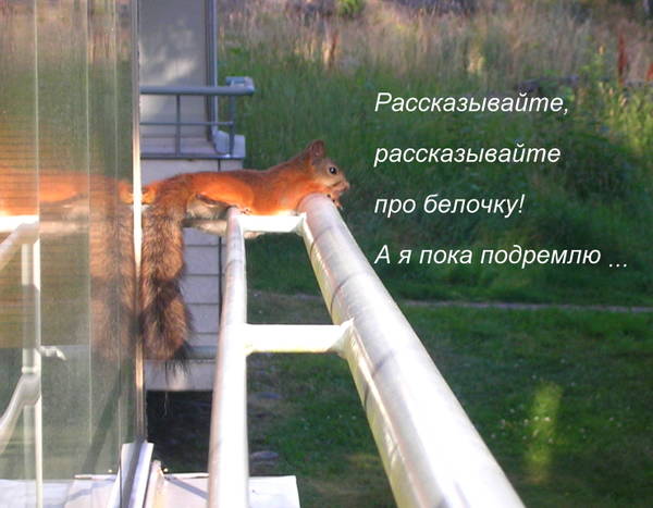 https://upforme.ru/uploads/000f/a0/99/259/t12291.jpg