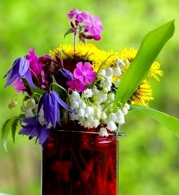 https://upforme.ru/uploads/000f/a0/99/259/t16810.jpg