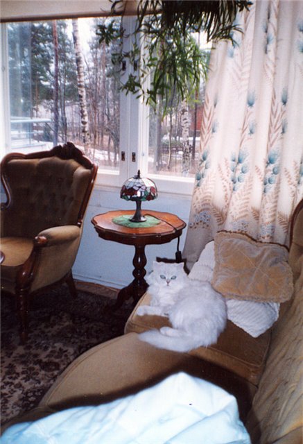 https://upforme.ru/uploads/000f/a0/99/259/t184201.jpg