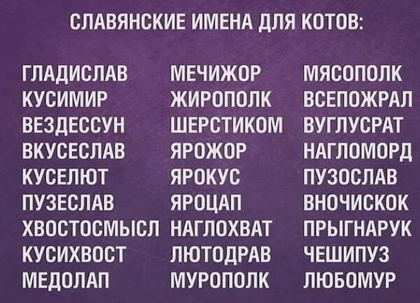 https://upforme.ru/uploads/000f/a0/99/259/t196656.jpg