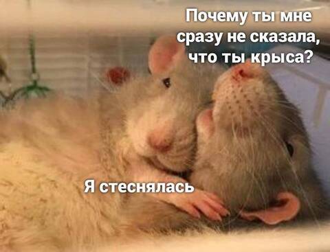 https://upforme.ru/uploads/000f/a0/99/259/t250441.jpg